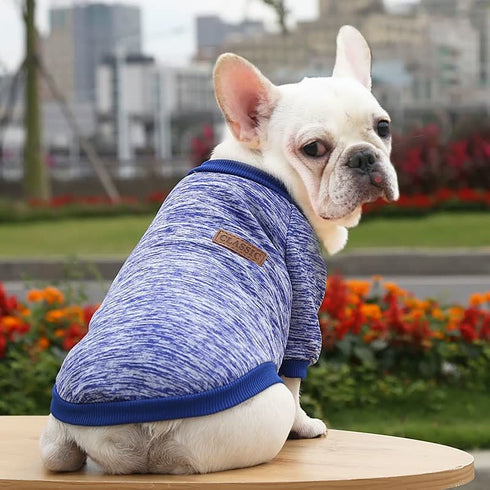 Bulldog Puppy Cat Pet Clothes Two-legged Clothing Knitting Wool Small Dogs Clothes